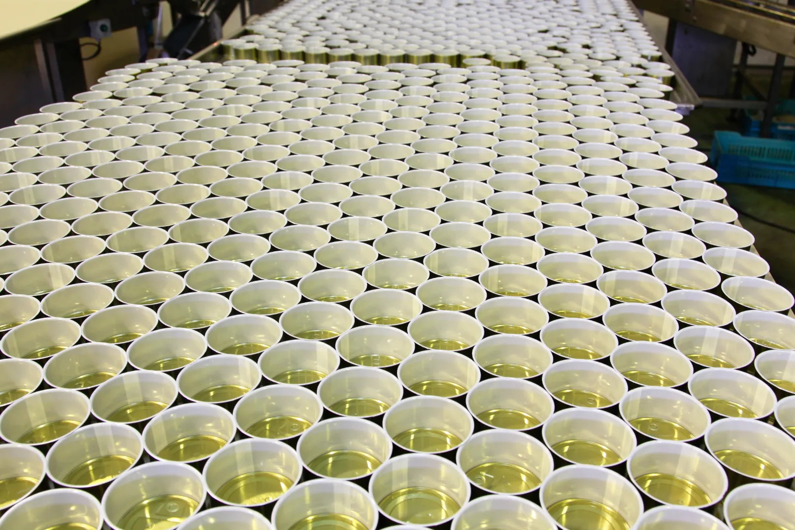 Can Making Industry 5